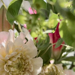 Meet your Posher, Xia